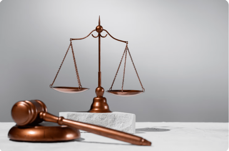 Mumbai High Court Lawyer